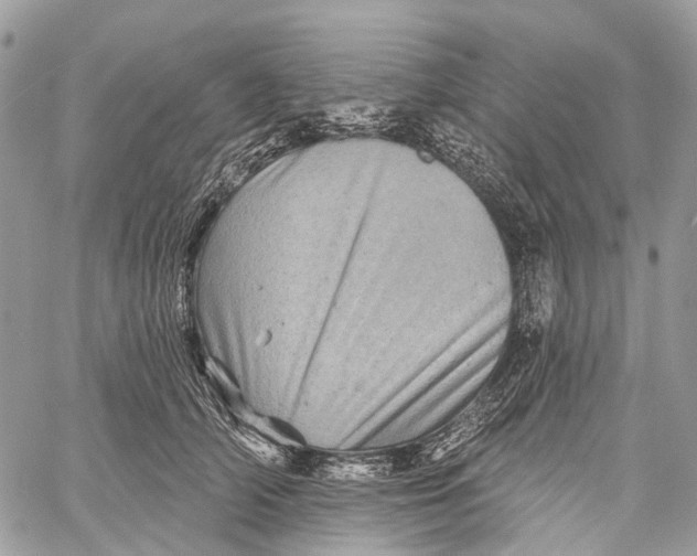 X0000060220706200511181213