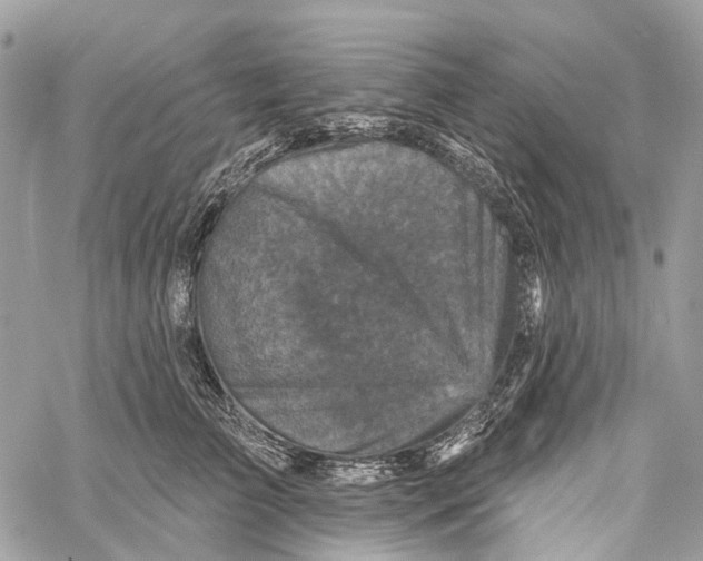 X0000060220709200511181212