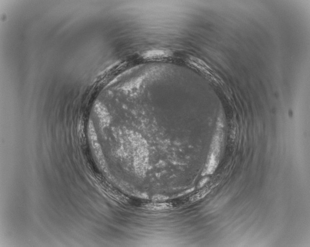 X0000060220711200511181212