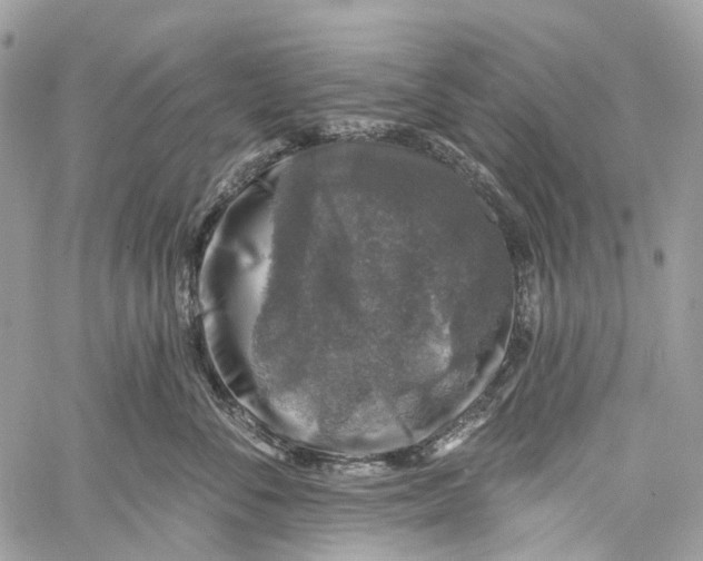 X0000060220716200511181212