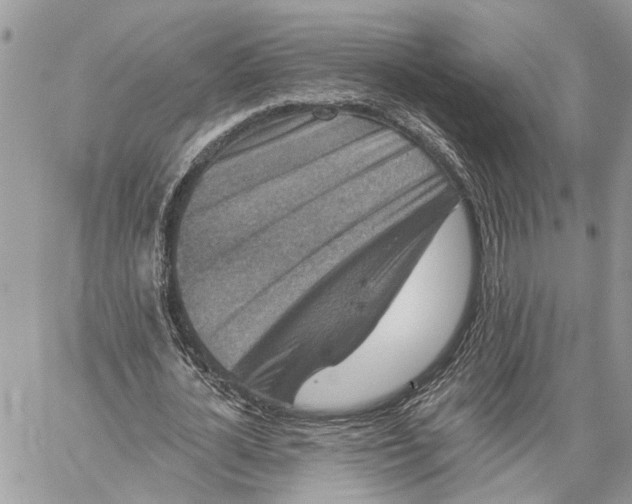X0000060220724200511181212