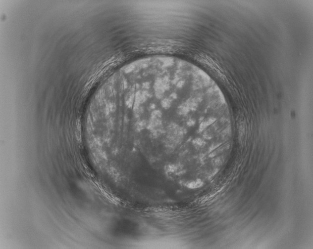 X0000060220729200511181212