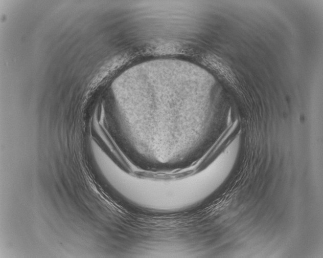 X0000060220732200511181212