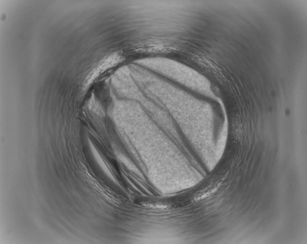 X0000060220735200511181212