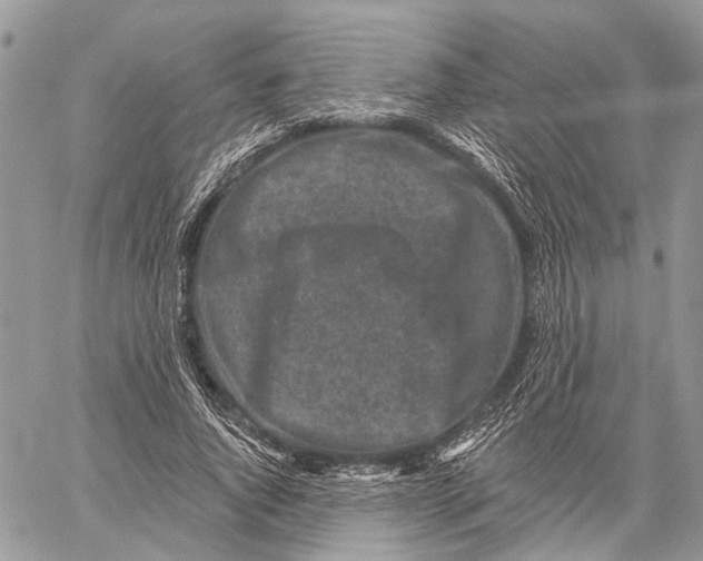 X0000060220736200511181212