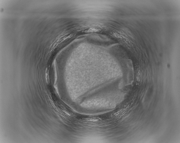 X0000060220743200511181212