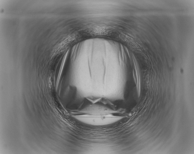 X0000060220746200511181212