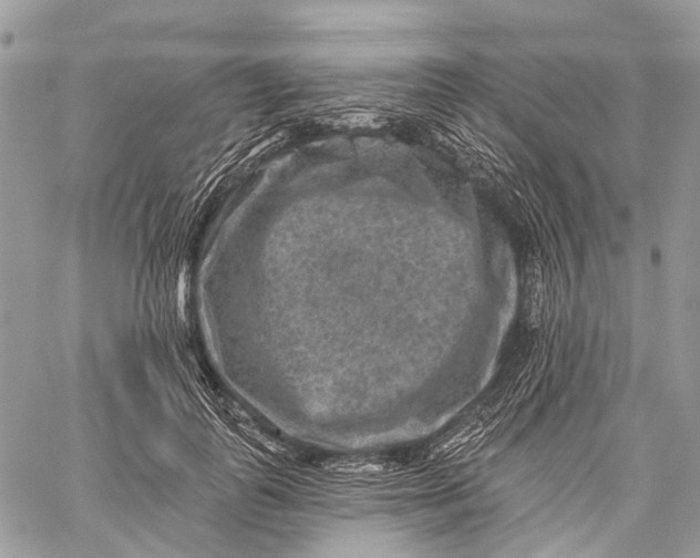 X0000060220747200511181212