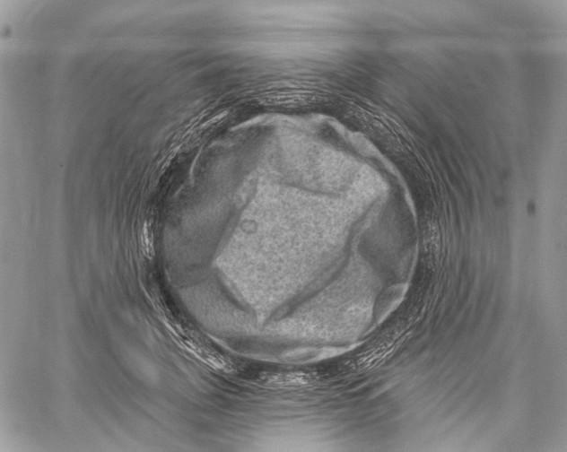 X0000060220751200511181212