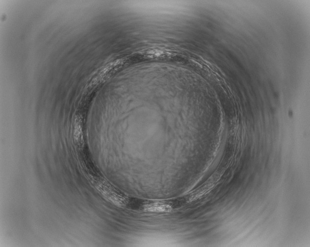 X0000060220754200511181212