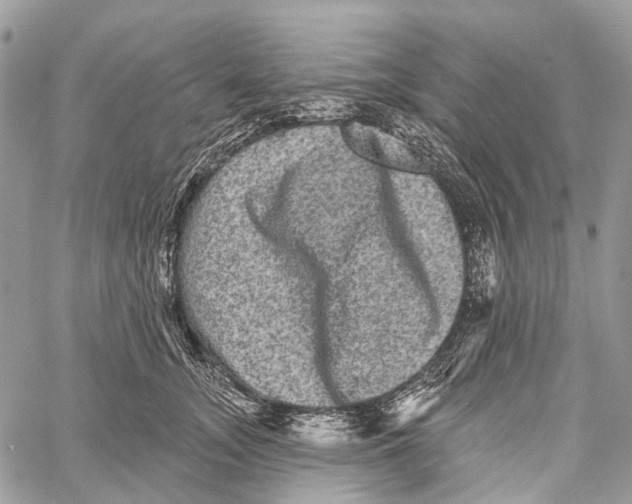 X0000060220755200511181212