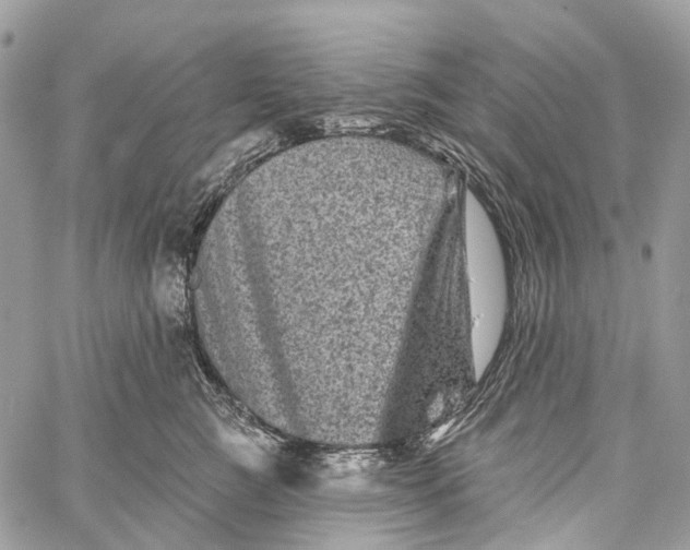 X0000060220761200511181212