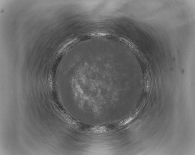 X0000060220762200511181212