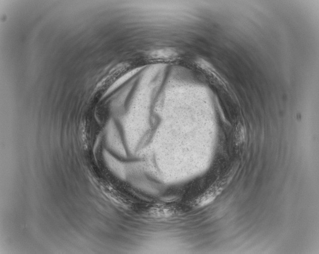 X0000060220764200511181212