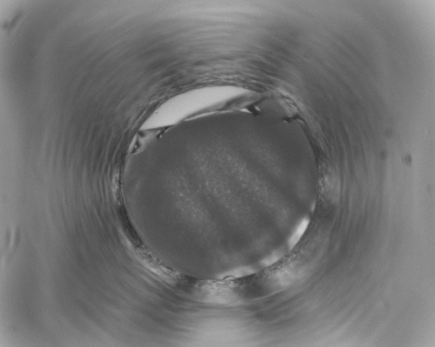 X0000060220767200511181212