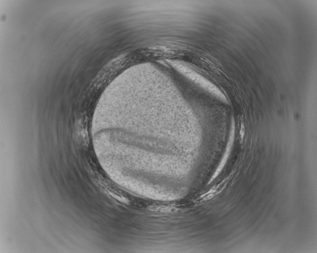 X0000060220771200511181211