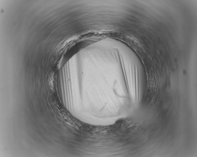 X0000060220773200511181211