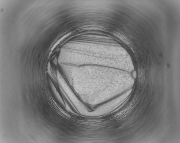 X0000060220782200511181211