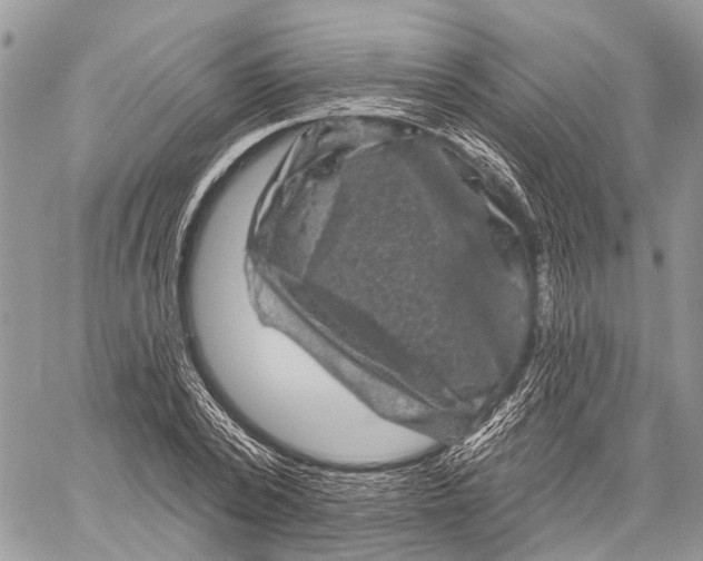 X0000060220784200511181211