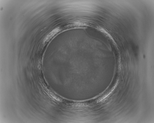 X0000060220785200511181211