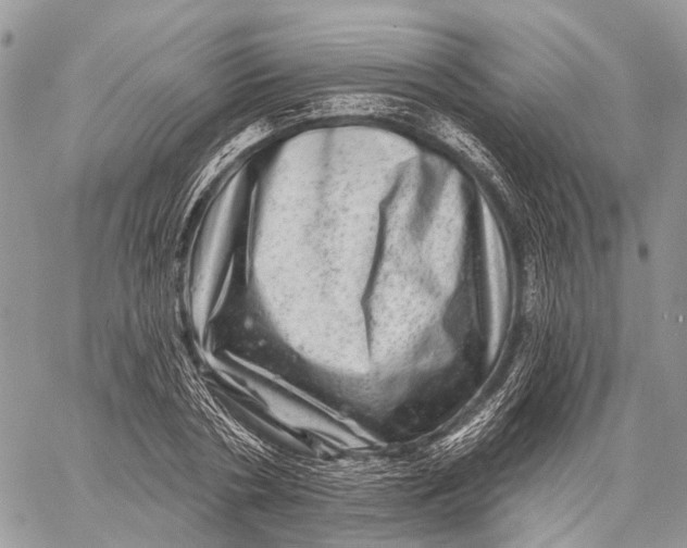 X0000060220786200511181211