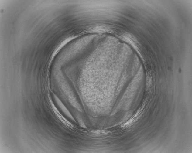 X0000060220795200511181211