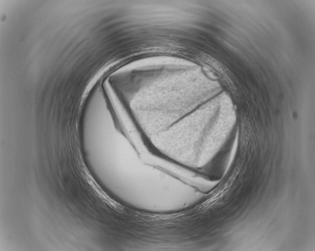 X0000060220796200511181211