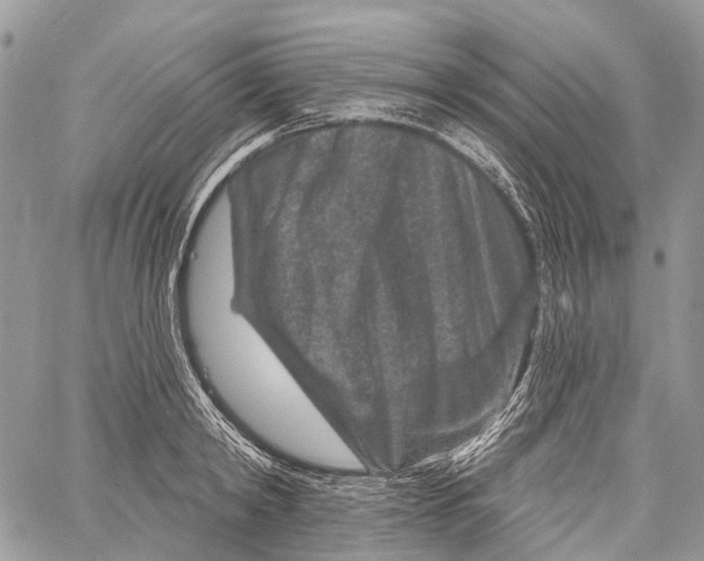 X0000060220798200511181211