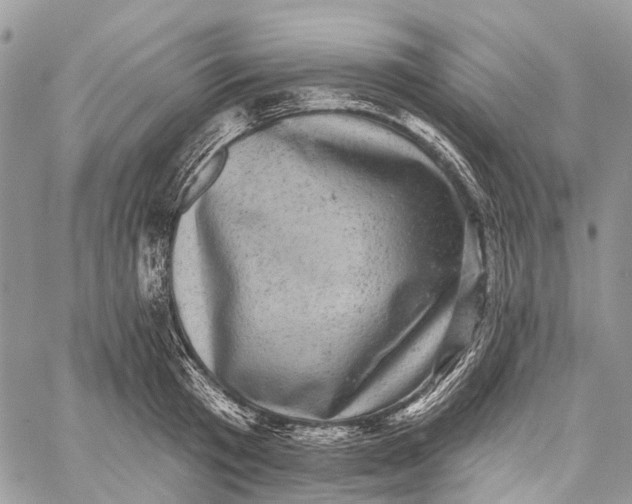 X0000060220801200511181211