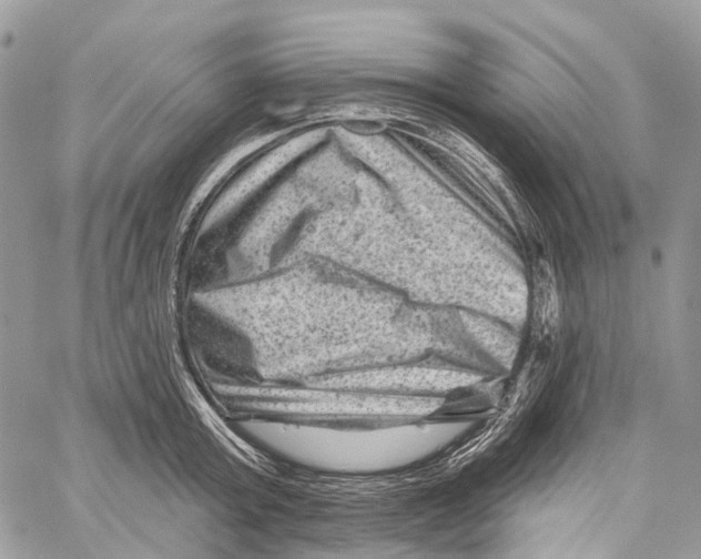 X0000060220803200511181211