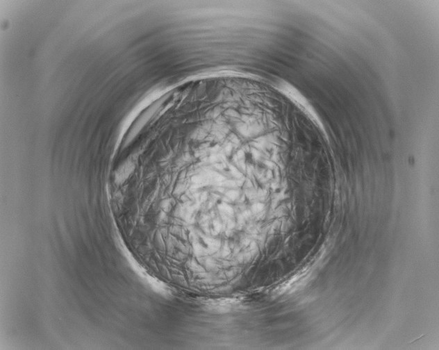 X0000060220813200511181211