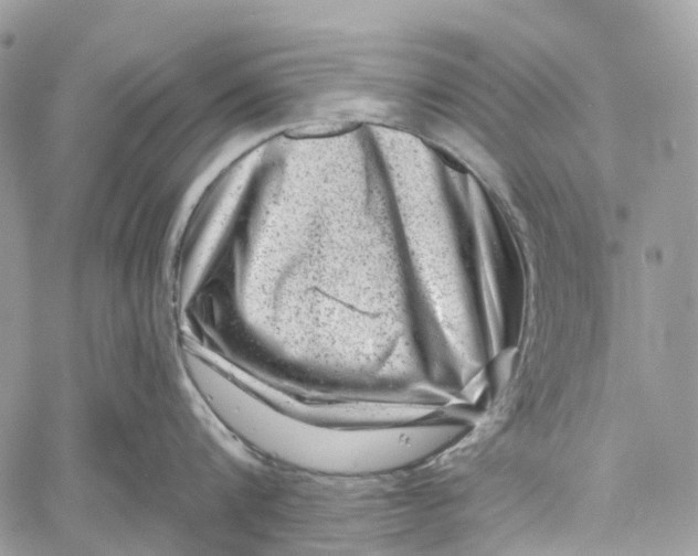 X0000060220816200511181211