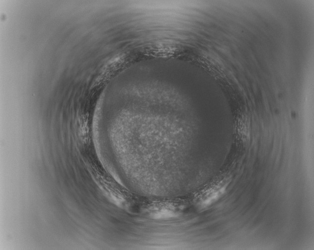 X0000060220818200511181210