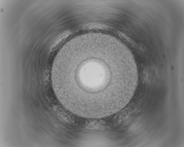 X0000060220824200511181210