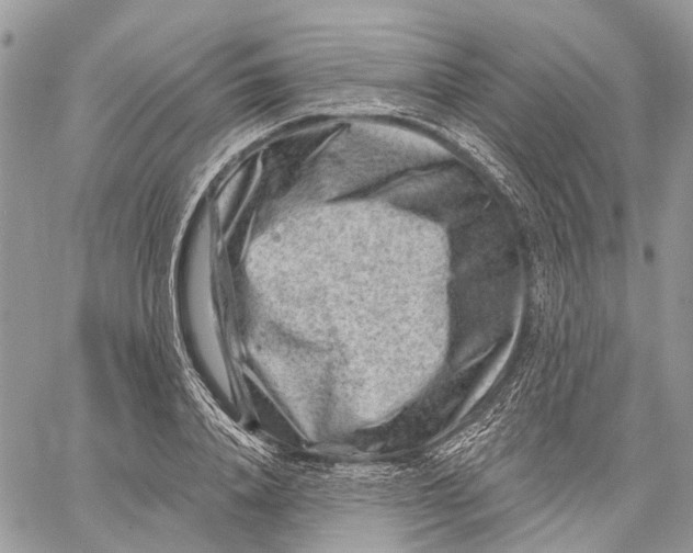 X0000060220840200511181210