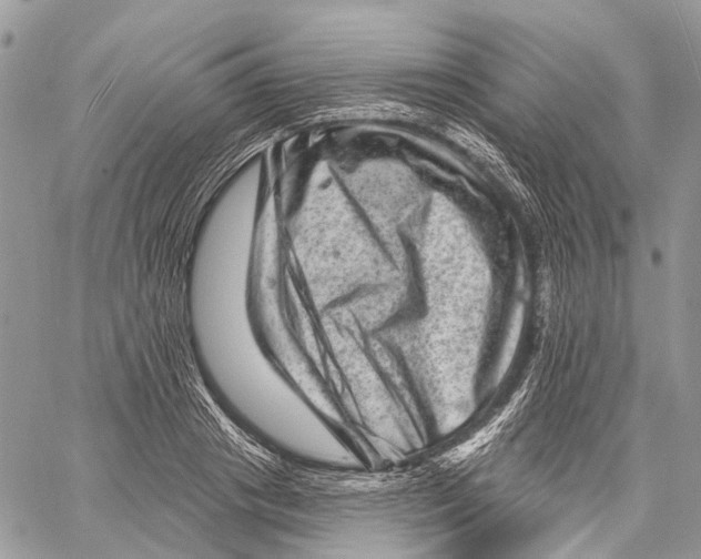 X0000060220841200511181210