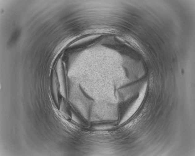 X0000060220844200511181210