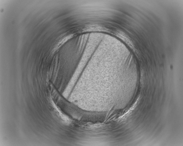 X0000060220849200511181210