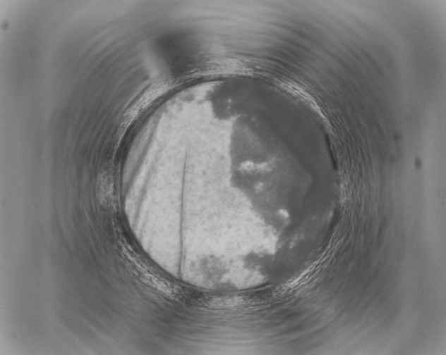 X0000060220882200511181210
