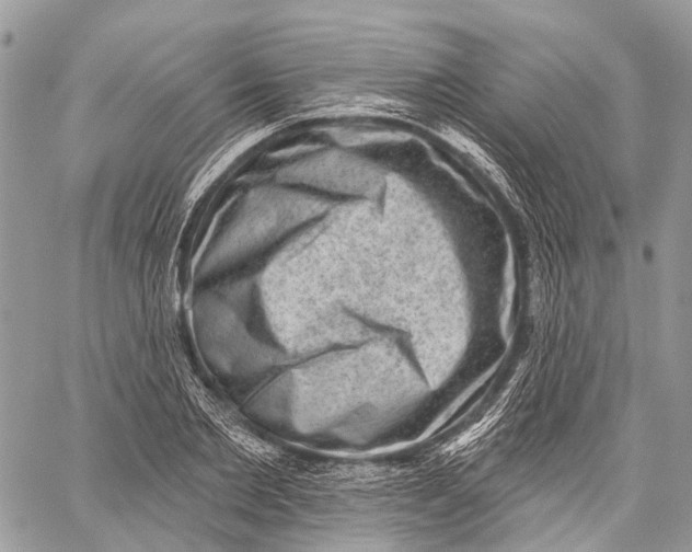 X0000060220885200511181210