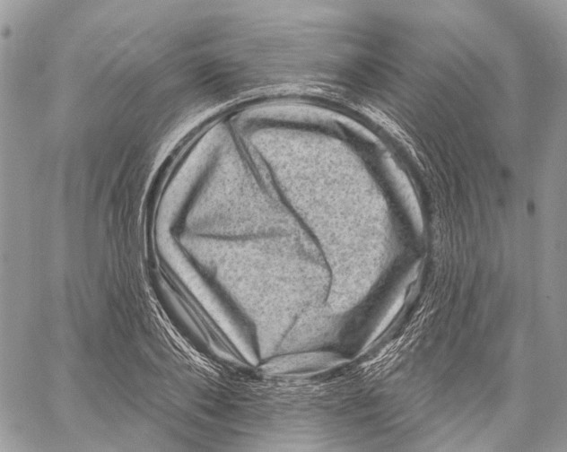 X0000060220886200511181210