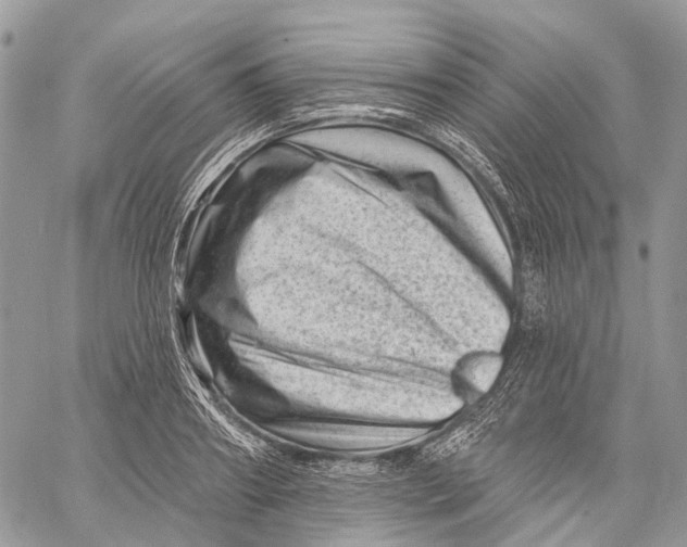 X0000060220890200511181210