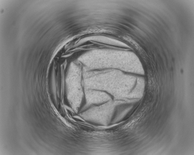 X0000060220894200511181209