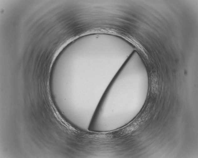 X0000060220896200511181209