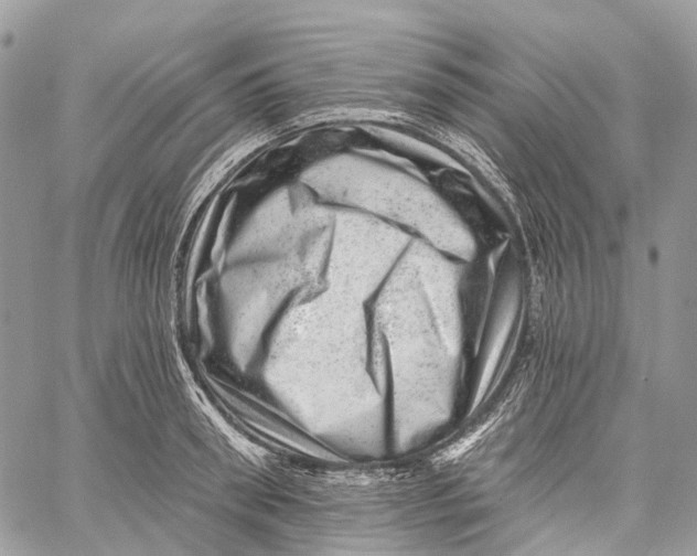 X0000060220898200511181209
