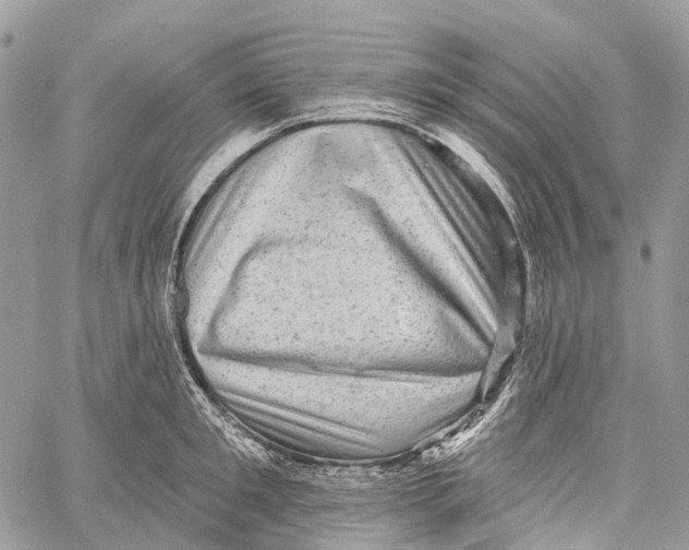 X0000060220901200511181209