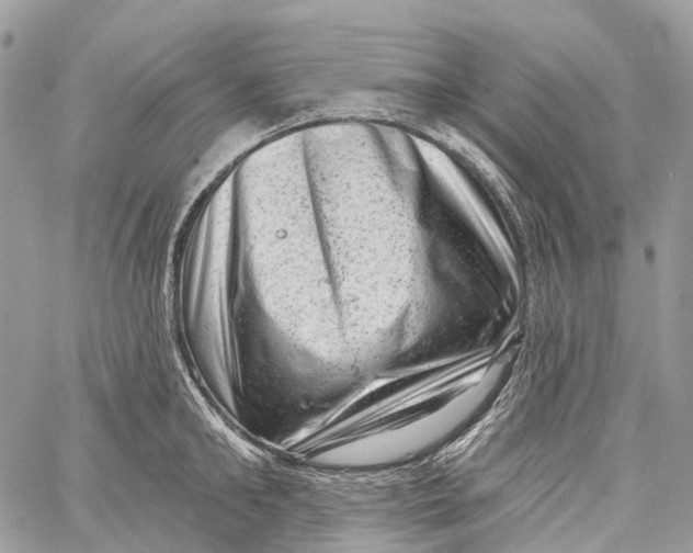 X0000060220902200511181209