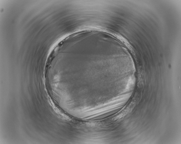 X0000060220904200511181209