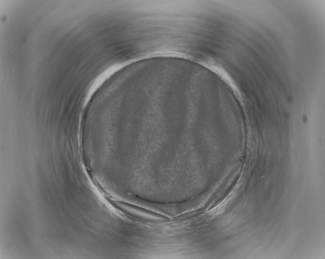 X0000060220910200511181209