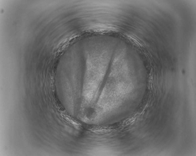 X0000060220917200511181208